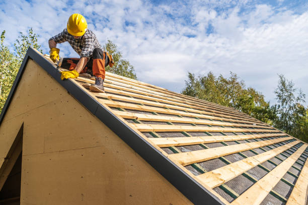 Best Local Roofing Companies  in Georgetown, IL