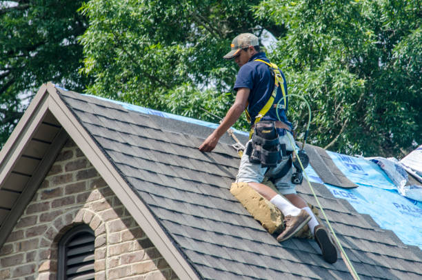 Best Roof Gutter Cleaning  in Georgetown, IL